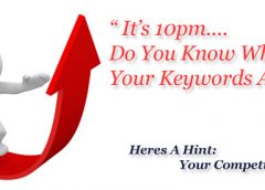 keyword-ranking-reports