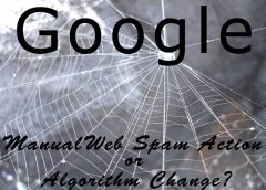 web-spam-action