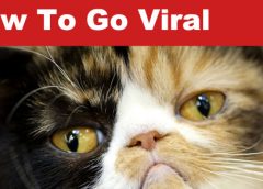 go viral