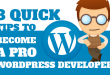 8-Quick-Tips-to-Become-a-Pro-WordPress-Developer