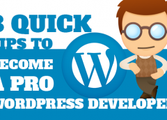 8-Quick-Tips-to-Become-a-Pro-WordPress-Developer